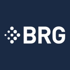Berkeley Research Group, LLC