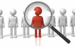 Consultora Profesional