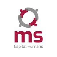 ms Capital Humano