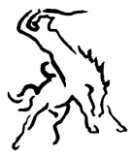 ESTILO CAMPO